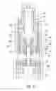Fig. 10 - FILTER STRUCTURE FOR SYRINGE AND SYRINGE INCLUDING SAME