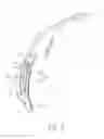 Fig. 07 - Endotracheal Intubation System