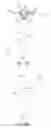 Fig. 03 - Ureteral and bladder catheters and methods of inducing negative pressure to increase renal perfusion