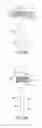 Fig. 07 - Ureteral and bladder catheters and methods of inducing negative pressure to increase renal perfusion