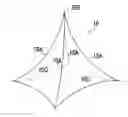 Fig. 01 - Method of producing transdermal absorption sheet for medical use