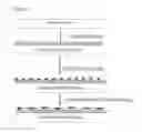 Fig. 05 - MEDICAL ELECTRICAL LEAD HAVING BIOLOGICAL SURFACE AND METHODS OF MAKING AND USING SAME