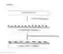 Fig. 06 - MEDICAL ELECTRICAL LEAD HAVING BIOLOGICAL SURFACE AND METHODS OF MAKING AND USING SAME