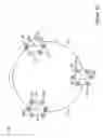 Fig. 06 - Methods and devices for treating erectile dysfunction