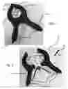 Fig. 03 - Barbell Clamp