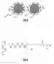 Fig. 03 - Ion-exchange membrane with molecular barrier