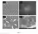 Fig. 14 - Functionalized single-layer graphene-based thin film composite and method of producing the same