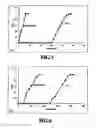 Fig. 04 - Surface Modified Carbon for Filtration Applications and Process for Making the Same