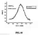 Fig. 07 - Surface Modified Carbon for Filtration Applications and Process for Making the Same
