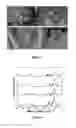 Fig. 04 - BI-STRUCTURED MATRIX FOR SOLID REACTANTS PURIFICATION AND HANDLING AND METHODS FOR OBTAINING SAID MATRIX