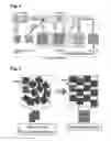 Fig. 02 - Metal Oxide Mesocrystal, and Method for Producing Same