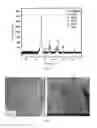 Fig. 02 - Magnetically separable iron-based heterogeneous catalysts for dehydrogenation of alcohols and amines