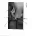 Fig. 34 - Lighted waterfall device with spreading manifold