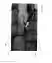 Fig. 41 - Lighted waterfall device with spreading manifold
