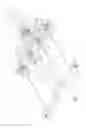 Fig. 02 - Multi-bead applicator