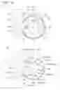 Fig. 12 - Double-sided circular cutting insert and indexable rotary cutting tool