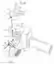 Fig. 11 - Air cannon