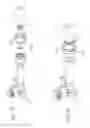 Fig. 19 - Air cannon