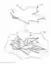 Fig. 01 - CONCRETE IMPRESSION TEMPLATE