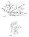Fig. 03 - CONCRETE IMPRESSION TEMPLATE