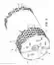 Fig. 04 - BLADE HEAD, BLADE AND METHOD FOR ELIMINATING SPACERS IN MULTIPLE BLADE STACKS
