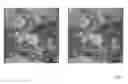 Fig. 03 - Reproduction of a stem cell niche of an organism and method for the generation thereof