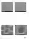 Fig. 05 - Reproduction of a stem cell niche of an organism and method for the generation thereof