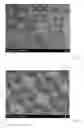 Fig. 09 - Reproduction of a stem cell niche of an organism and method for the generation thereof