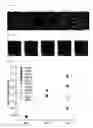 Fig. 09 - METHODS OF EXTRUDING MULTILAYER FIBERS