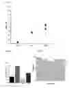 Fig. 10 - METHODS OF EXTRUDING MULTILAYER FIBERS