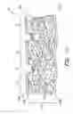 Fig. 02 - Process for forming a nonwoven composite
