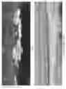 Fig. 07 - Metal printed constructions