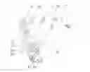 Fig. 01 - Rear swing arm suspension