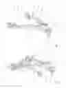 Fig. 02 - Transverse control arm