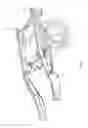 Fig. 02 - Rate leaf spring vehicle suspension system