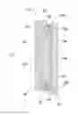 Fig. 01 - Method of manufacturing variable reflectance mirror reflective element for exterior mirror assembly