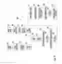 Fig. 40 - Method of manufacturing variable reflectance mirror reflective element for exterior mirror assembly