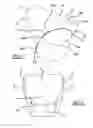 Fig. 02 - Passenger side airbag