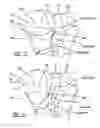 Fig. 07 - Passenger side airbag