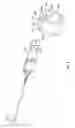 Fig. 06 - Steering column assembly having a sensor assembly