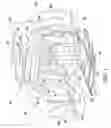 Fig. 02 - Body mounting system for an exoskeleton vehicle