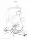Fig. 03 - Inverted pendulum vehicle