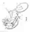 Fig. 07 - Lever driven bicycle with synchronous drive ratio control