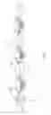 Fig. 04 - Separable buoy