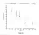 Fig. 03 - Bioflavonoid coated materials