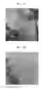 Fig. 03 - Two-dimensional transition metal chalcogenide nanostructure, device including the same, and method of preparing the two-dimensional transition metal chalcogenide nanostructure