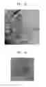 Fig. 06 - Two-dimensional transition metal chalcogenide nanostructure, device including the same, and method of preparing the two-dimensional transition metal chalcogenide nanostructure
