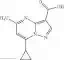 Fig. 174 - AMIDO-SUBSTITUTED CYCLOHEXANE DERIVATIVES