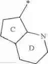 Fig. 32 - AMIDO-SUBSTITUTED CYCLOHEXANE DERIVATIVES