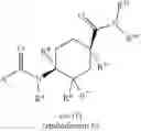 Fig. 55 - AMIDO-SUBSTITUTED CYCLOHEXANE DERIVATIVES